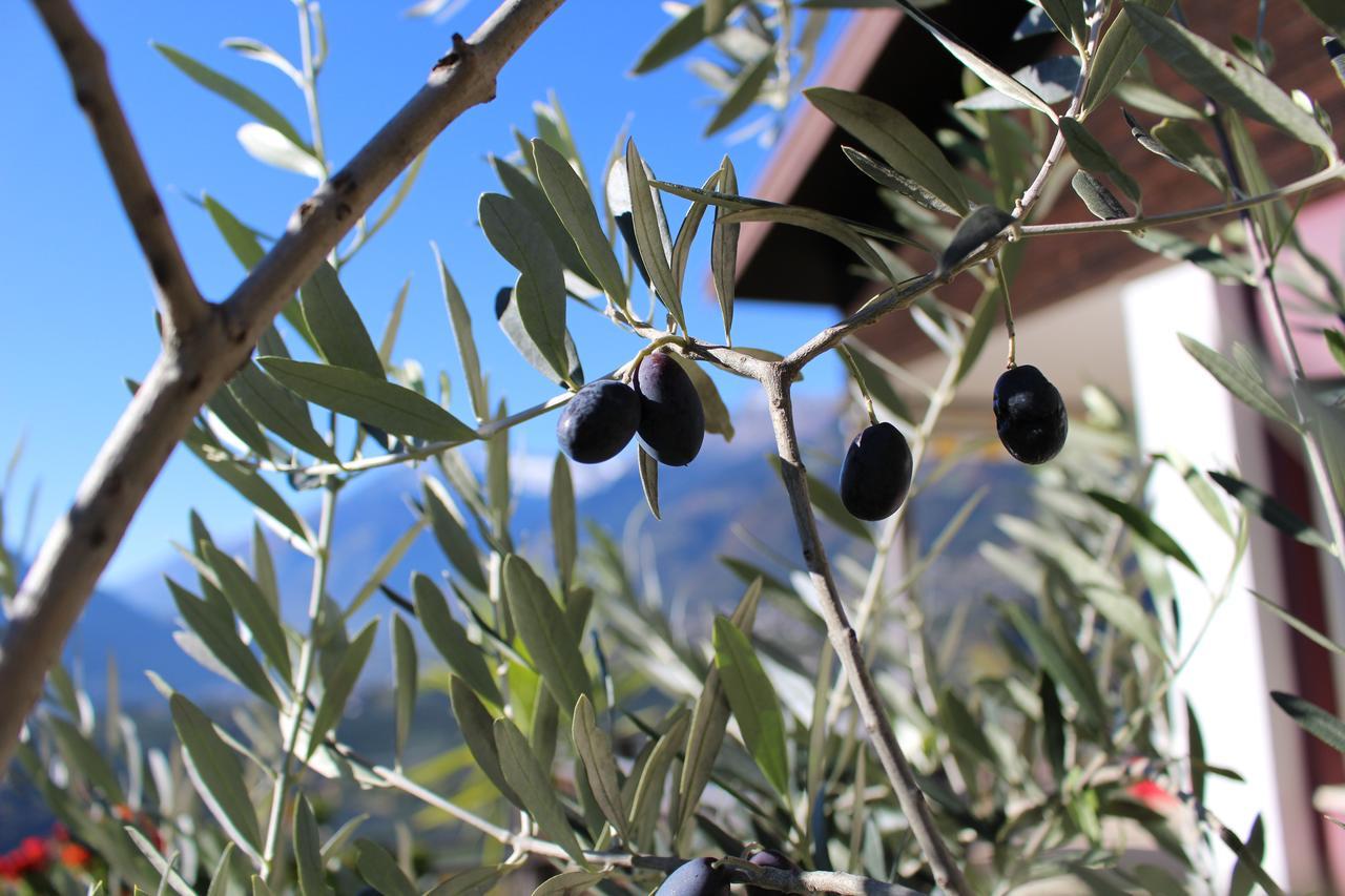 Schenna Garni Eden Bed & Breakfast Bagian luar foto