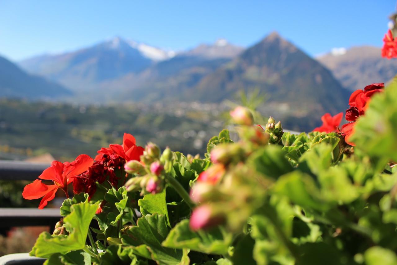 Schenna Garni Eden Bed & Breakfast Bagian luar foto