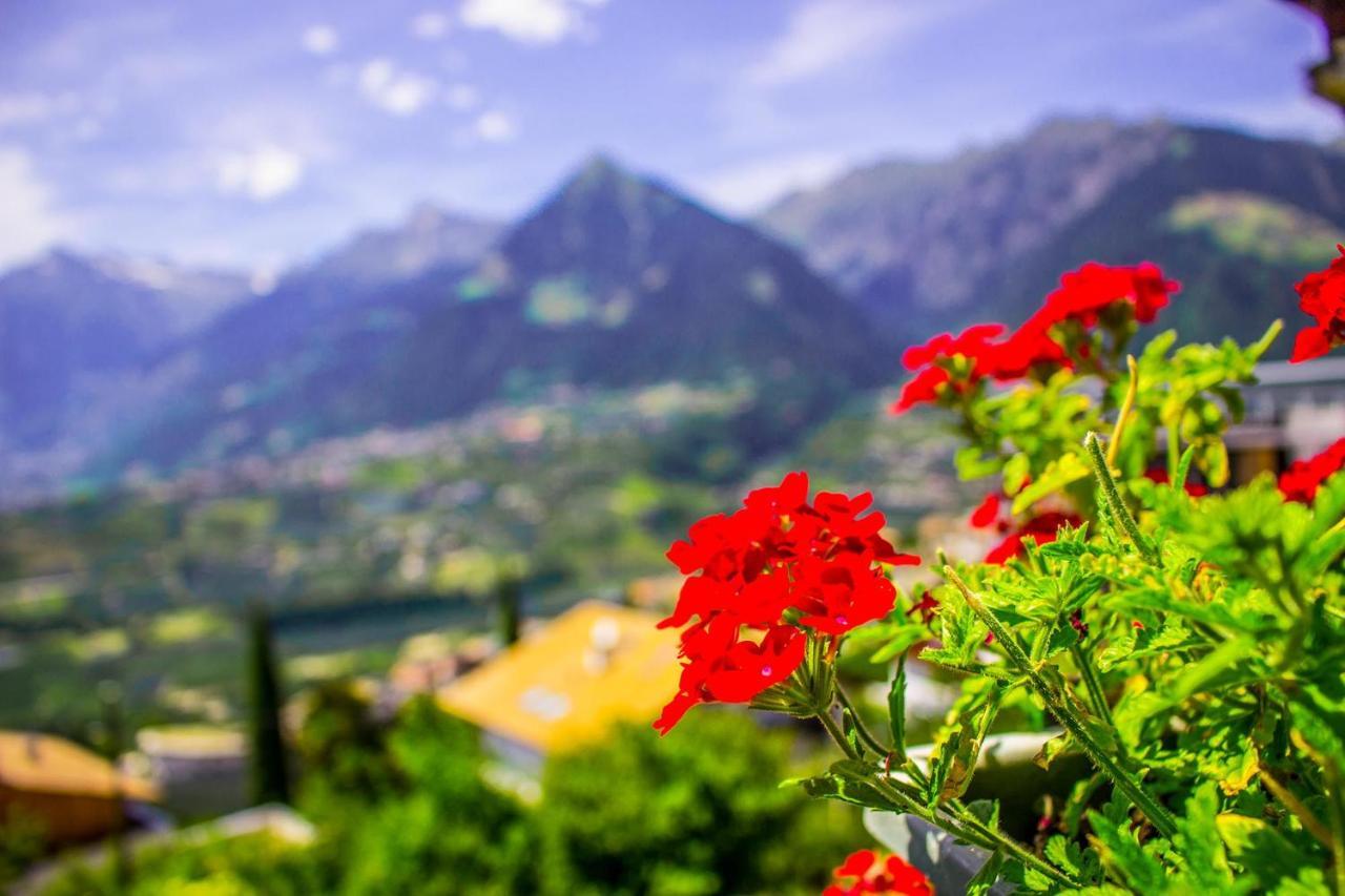 Schenna Garni Eden Bed & Breakfast Bagian luar foto