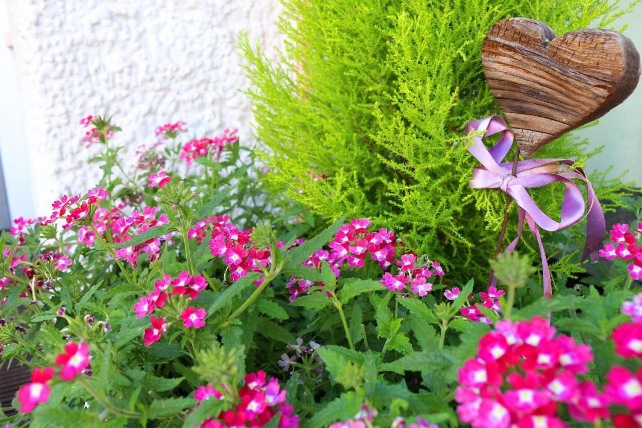 Schenna Garni Eden Bed & Breakfast Bagian luar foto