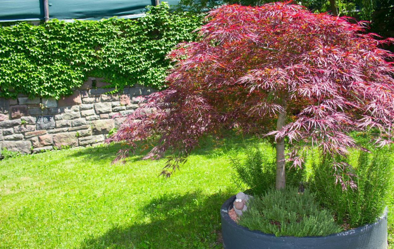 Schenna Garni Eden Bed & Breakfast Bagian luar foto